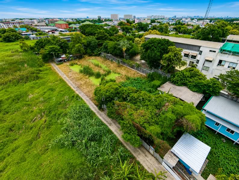 ที่ดิน ซอยเพชรเกษม 77 แยก 4-1, Bangkok, Nong Kang Plu, Nong Khaem, Bangkok, , 816 sqm, Land For Sale, by ภัทรนัน อิศรางกูร ณ อยุธยา, 500460025 - DDproperty.com
