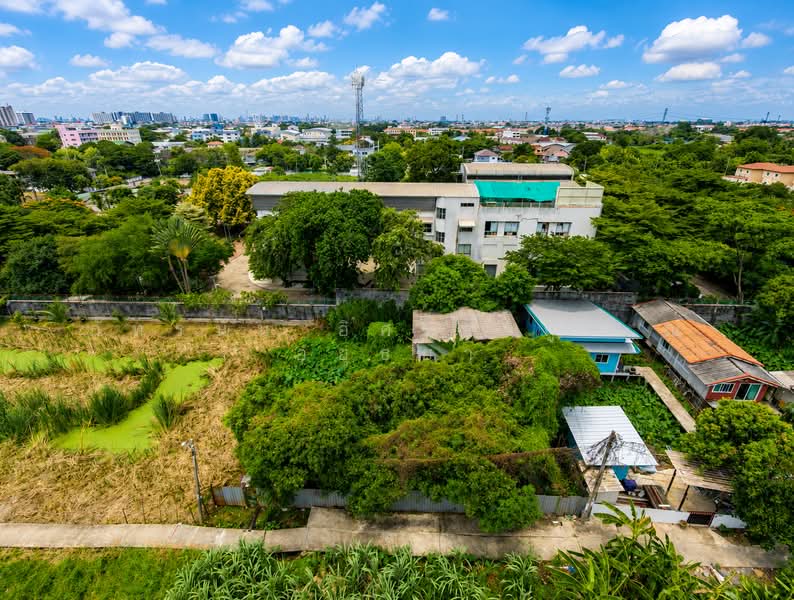 ที่ดิน ซอยเพชรเกษม 77 แยก 4-1, Bangkok, Nong Kang Plu, Nong Khaem, Bangkok, , 816 sqm, Land For Sale, by ภัทรนัน อิศรางกูร ณ อยุธยา, 500460025 - DDproperty.com