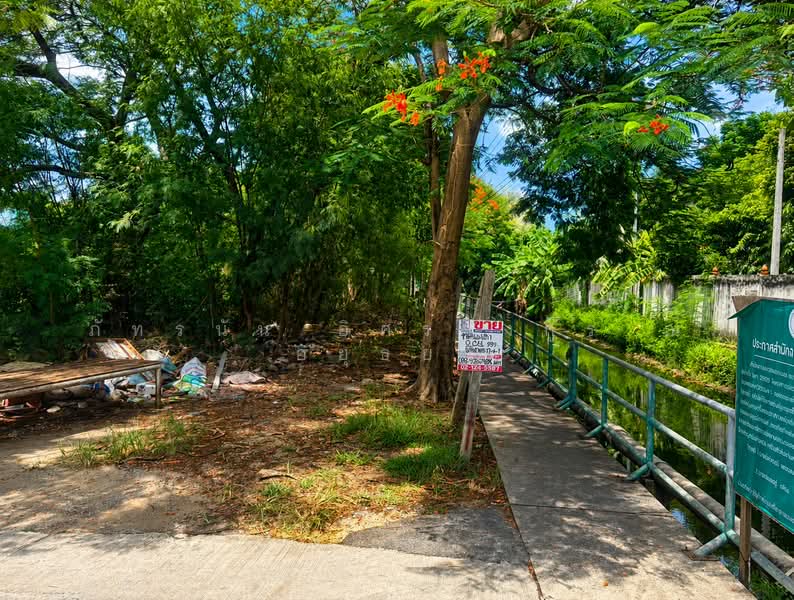 ที่ดิน ซอยเพชรเกษม 77 แยก 4-1, Bangkok, Nong Kang Plu, Nong Khaem, Bangkok, , 816 sqm, Land For Sale, by ภัทรนัน อิศรางกูร ณ อยุธยา, 500460025 - DDproperty.com