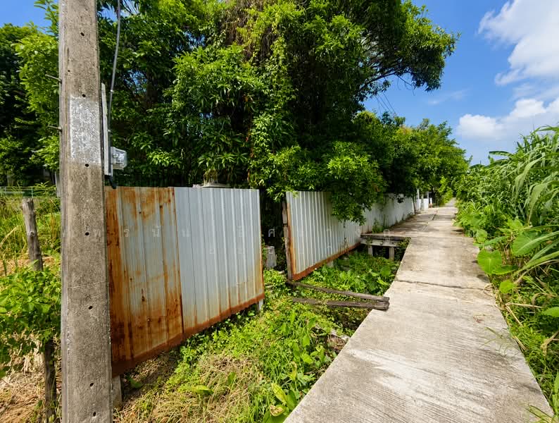ที่ดิน ซอยเพชรเกษม 77 แยก 4-1, Bangkok, Nong Kang Plu, Nong Khaem, Bangkok, , 816 sqm, Land For Sale, by ภัทรนัน อิศรางกูร ณ อยุธยา, 500460025 - DDproperty.com