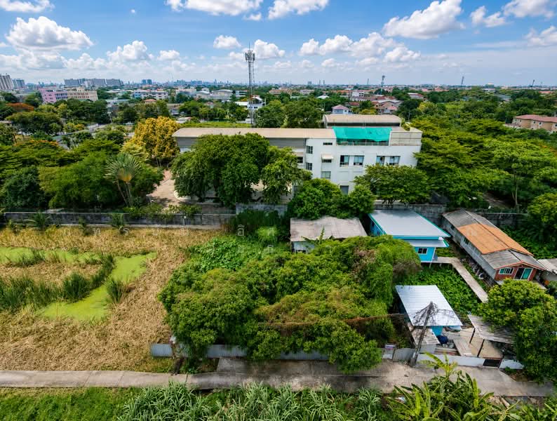 ที่ดิน ซอยเพชรเกษม 77 แยก 4-1, กรุงเทพ, หนองค้างพลู, หนองแขม, กรุงเทพ, 816 ตร.ม., ที่ดิน ขาย, โดย ภัทรนัน อิศรางกูร ณ อยุธยา, 500460025 - DDproperty.com