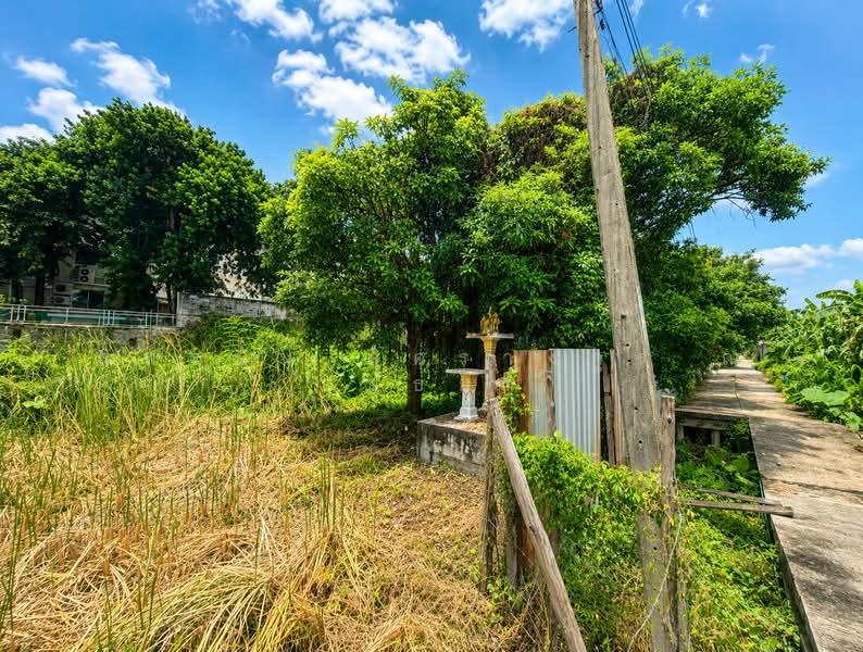 ที่ดิน ซอยเพชรเกษม 77 แยก 4-1, Bangkok, Nong Kang Plu, Nong Khaem, Bangkok, , 816 sqm, Land For Sale, by ภัทรนัน อิศรางกูร ณ อยุธยา, 500460025 - DDproperty.com