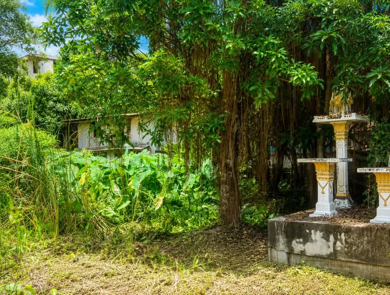 ที่ดิน ซอยเพชรเกษม 77 แยก 4-1, Bangkok, Nong Kang Plu, Nong Khaem, Bangkok, , 816 sqm, Land For Sale, by ภัทรนัน อิศรางกูร ณ อยุธยา, 500460025 - DDproperty.com