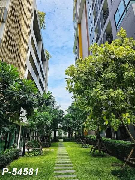 The Sky Sukhumvit, Bangkok, 103-4 Sukhumvit Road, Bang Na Nuea, Bang Na, Bangkok, 1 Bedroom, 30 sqm, Condo For Rent, by Susira Prueksawun, 500460142 - DDproperty.com