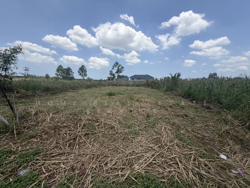 ทดน 96 ตร.ว. ซอยราชวนตบางแกว, สมุทรปราการ, บางแก้ว, บางพลี, สมุทรปราการ, 384 ตร.ม., ที่ดิน ให้เช่า, โดย HOME Real Estate Service, 500460190 - DDproperty.com