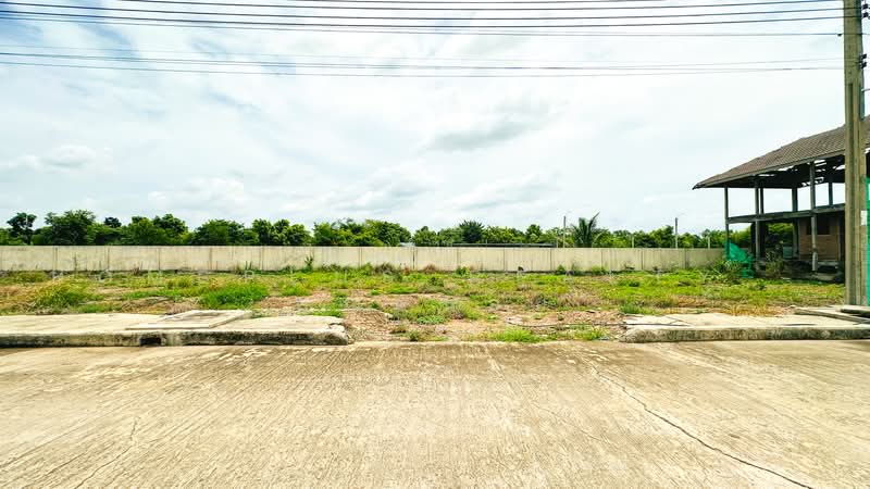 ทดนบานรกเกา, กรุงเทพ, สามวาตะวันออก, คลองสามวา, กรุงเทพ, 560 ตร.ม., ที่ดิน ขาย, โดย HOMEPLUS REALTY - คุณหน่อย, 500460221 - DDproperty.com