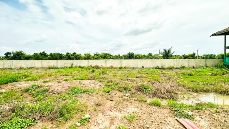 ทดนบานรกเกา, กรุงเทพ, สามวาตะวันออก, คลองสามวา, กรุงเทพ, 560 ตร.ม., ที่ดิน ขาย, โดย HOMEPLUS REALTY - คุณหน่อย, 500460221 - DDproperty.com