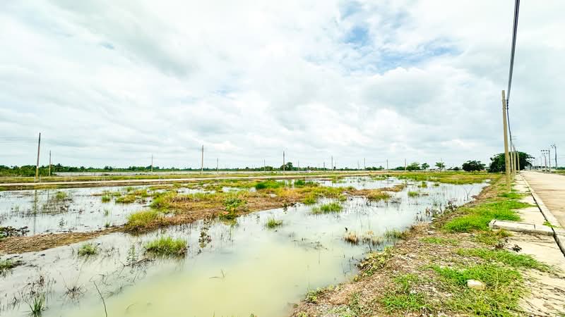 ทดนบานรกเกา, Bangkok, Sam Wa Tawan Ok, Khlong Sam Wa, Bangkok, , 560 sqm, Land For Sale, by HOMEPLUS REALTY - คุณหน่อย, 500460221 - DDproperty.com