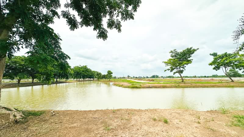 ทดนบานรกเกา, กรุงเทพ, สามวาตะวันออก, คลองสามวา, กรุงเทพ, 560 ตร.ม., ที่ดิน ขาย, โดย HOMEPLUS REALTY - คุณหน่อย, 500460221 - DDproperty.com