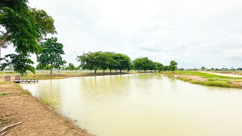 ทดนบานรกเกา, กรุงเทพ, สามวาตะวันออก, คลองสามวา, กรุงเทพ, 560 ตร.ม., ที่ดิน ขาย, โดย HOMEPLUS REALTY - คุณหน่อย, 500460221 - DDproperty.com