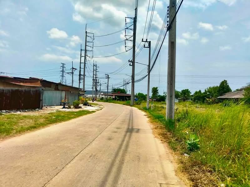Land for Sale Nong Yai East Pattaya Subdivided Plots, Chon Buri (Pattaya), Bang Lamung, Bang Lamung (Pattaya), Chon Buri (Pattaya), , 480 sqm, Land For Sale, by PLC real estate, 500460224 - DDproperty.com