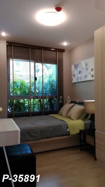 Elio Del Ray, Bangkok, 95 Sukhumvit 64 Road, Bang Chak, Phra Khanong, Bangkok, 2 Bedrooms, 45 sqm, Condo For Rent, by Susira Prueksawun, 500460262 - DDproperty.com