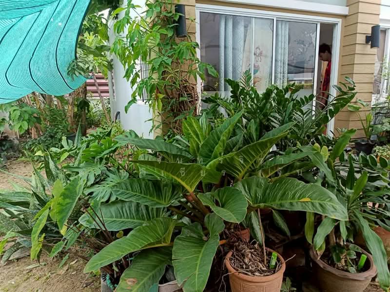 Flora Ville, Bangkok, Lam Phak Chi, Nong Chok, Bangkok, 3 Bedrooms, 130 sqm, Single Detached House For Sale, by คุณ จันทร์จิรา รัตตนวิเชียร (จัน), 500460278 - DDproperty.com