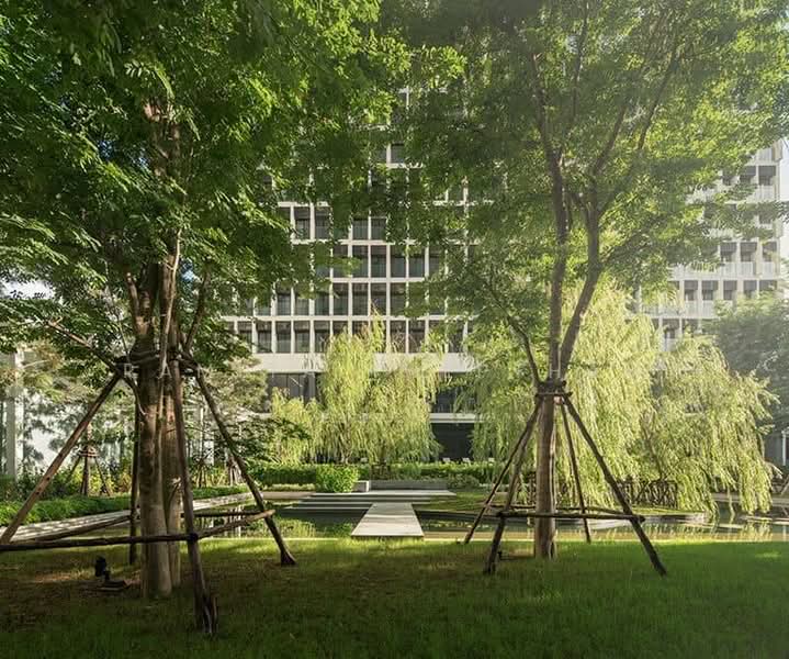 Noble Ploenchit, Bangkok, 1035 Ploenchit Road, Lumphini, Pathum Wan, Bangkok, 1 Bedroom, 45 sqm, Condo For Rent, by Ramita Theptham, 500460473 - DDproperty.com