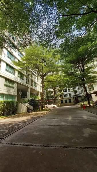 The Room Sukhumvit 79, Bangkok, 99 Sukhumvit Road 79, Phra Kanong Nua, Watthana, Bangkok, 2 Bedrooms, 59 sqm, Condo For Rent, by Natlyn Kongsapook, 500460474 - DDproperty.com