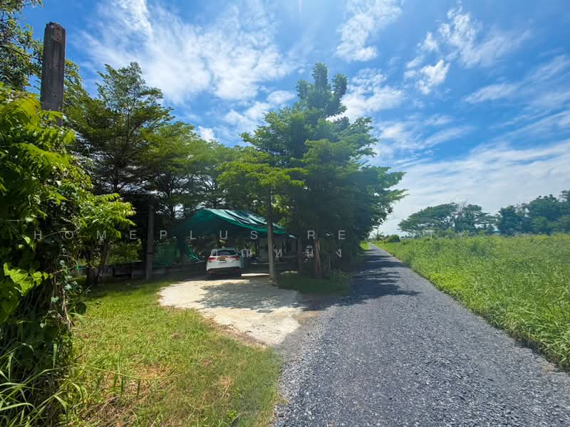 ทดนถมแลว 2 ไร ซอยวบลยสาธกจ หนองจอก, กรุงเทพ, ลำต้อยติ่ง, หนองจอก, กรุงเทพ, 3,200 ตร.ม., ที่ดิน ขาย, โดย HOMEPLUS REALTY - คุณหนิง, 500460561 - DDproperty.com