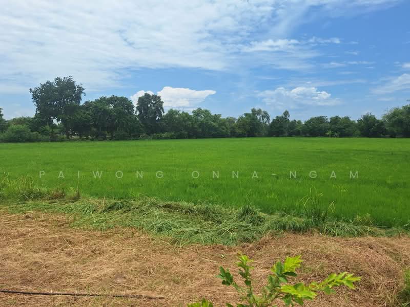ทดน, Phra Nakhon Si Ayutthaya, Chiang Rak Noi, Bang-Sai, Phra Nakhon Si Ayutthaya, , 23,996 sqm, Land For Sale, by Paiwong Onna-nam, 500460713 - DDproperty.com