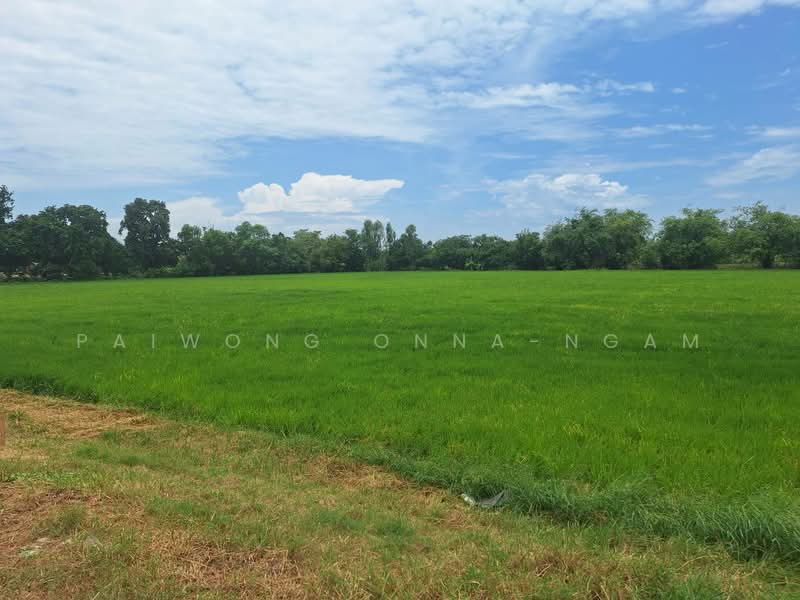 ทดน, Phra Nakhon Si Ayutthaya, Chiang Rak Noi, Bang-Sai, Phra Nakhon Si Ayutthaya, , 23,996 sqm, Land For Sale, by Paiwong Onna-nam, 500460713 - DDproperty.com