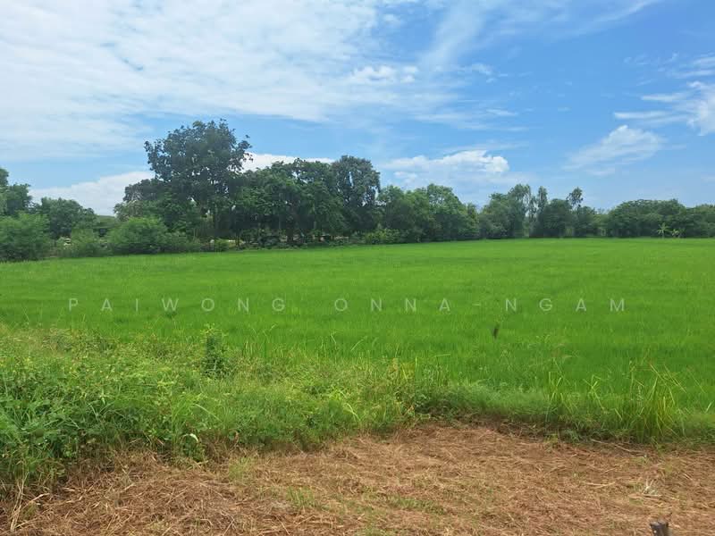 ทดน, Phra Nakhon Si Ayutthaya, Chiang Rak Noi, Bang-Sai, Phra Nakhon Si Ayutthaya, , 23,996 sqm, Land For Sale, by Paiwong Onna-nam, 500460713 - DDproperty.com