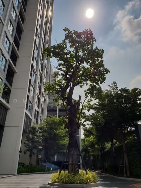 Life Sukhumvit 48, Bangkok, Soi Sukhumvit 48, Phra Kanong, Khlong Toei, Bangkok, 1 Bedroom, 30 sqm, Condo For Sale, by HOME Real Estate Service, 500460885 - DDproperty.com