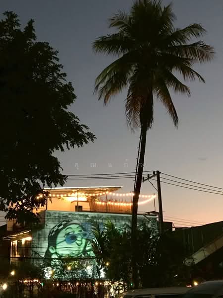 เซ้งกิจการร้านอาหาร พร้อม Rooftop Bar 3 ชั้น ย่านเมืองเก่าเชียงใหม่ ทำเลทอง ใกล้ประตูท่าแพ, เชียงใหม่, ศรีภูมิ, เมืองเชียงใหม่, เชียงใหม่, 32 ตร.ม., พื้นที่ขายของ ขาย, โดย คุณแก้ว, 500460956 - DDproperty.com