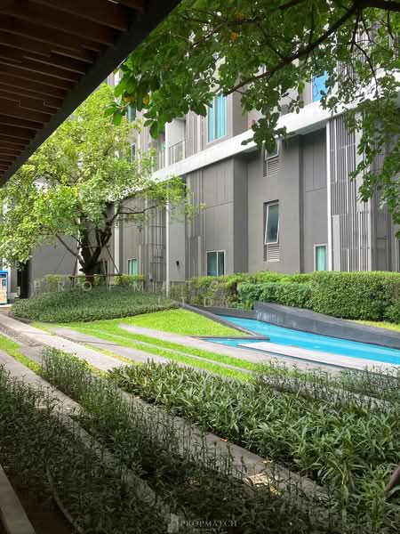 CEIL by Sansiri : ซีล บาย แสนสิริ, กรุงเทพ, 11 ซอยเอกมัย 12 ถนนสุขุมวิท 63, คลองตันเหนือ, วัฒนา, กรุงเทพ, 30 ตร.ม., คอนโด ให้เช่า, โดย PROPMATCH CO., LTD., 500461083 - DDproperty.com