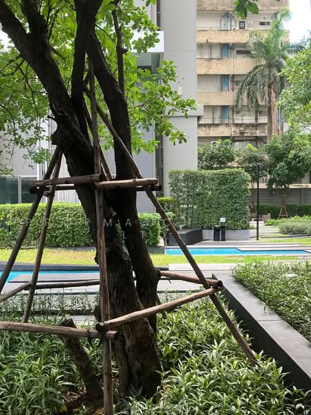 CEIL by Sansiri : ซีล บาย แสนสิริ, กรุงเทพ, 11 ซอยเอกมัย 12 ถนนสุขุมวิท 63, คลองตันเหนือ, วัฒนา, กรุงเทพ, 30 ตร.ม., คอนโด ให้เช่า, โดย PROPMATCH CO., LTD., 500461083 - DDproperty.com