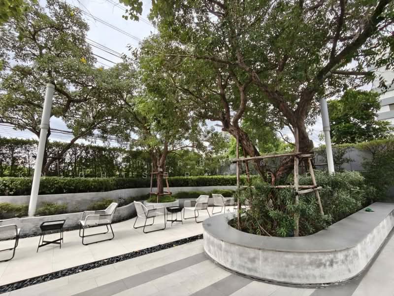 Knightsbridge Collage Sukhumvit 107, Samut Prakan, Sukhumvit 107 Road, Samrong Nua, Muang Samut Prakarn, Samut Prakan, 1 Bedroom, 30 sqm, Condo For Sale, by ขายคอนโด Knightsbridge Collage Sukhumvit 107 ขนาด 30.02 ตร.ม. ชั้น 10, 500461110 - DDproperty.com