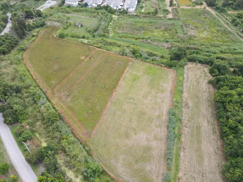 12 Rai Prime Location, Wat Phai Lueang Soi (Kantana), Rattanathibet Road, Nonthaburi, Bang Rak Pattana, Bang Bua Thong, Nonthaburi, , 19,200 sqm, Land For Sale, by HOMEPLUS REALTY - คุณจ๋า, 500461116 - DDproperty.com