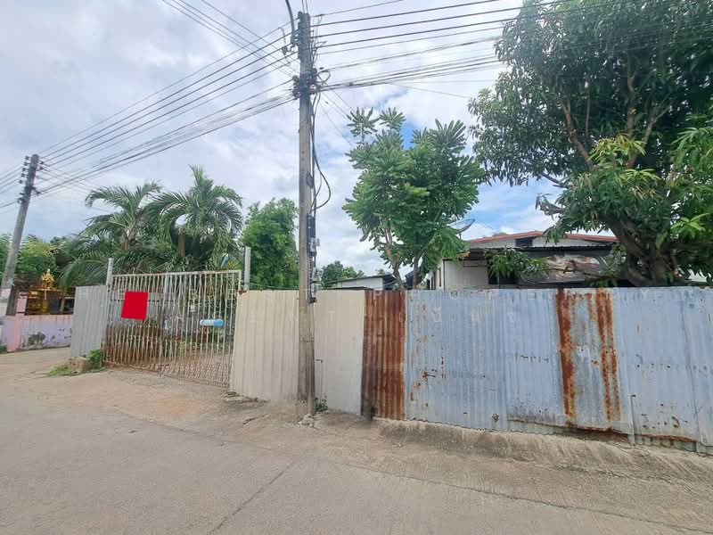 บานเดยวหนองปลง นครสวรรค, Nakhon Sawan, Nong Pling, Muang Nakhon Sawan, Nakhon Sawan, 2 Bedrooms, 100 sqm, Single Detached House For Sale, by The Best Property Agent เบ็นซ์, 500461276 - DDproperty.com