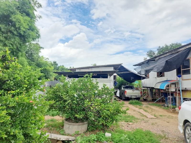 บานเดยวหนองปลง นครสวรรค, Nakhon Sawan, Nong Pling, Muang Nakhon Sawan, Nakhon Sawan, 2 Bedrooms, 100 sqm, Single Detached House For Sale, by The Best Property Agent เบ็นซ์, 500461276 - DDproperty.com