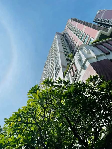 Citi Smart Sukhumvit 18, Bangkok, 366 Soi Sukhumvit 18, Sukhumvit Road, Khlong Toei, Bangkok, 2 Bedrooms, 78 sqm, Condo For Rent, by Aphisit Khotudon, 500461466 - DDproperty.com