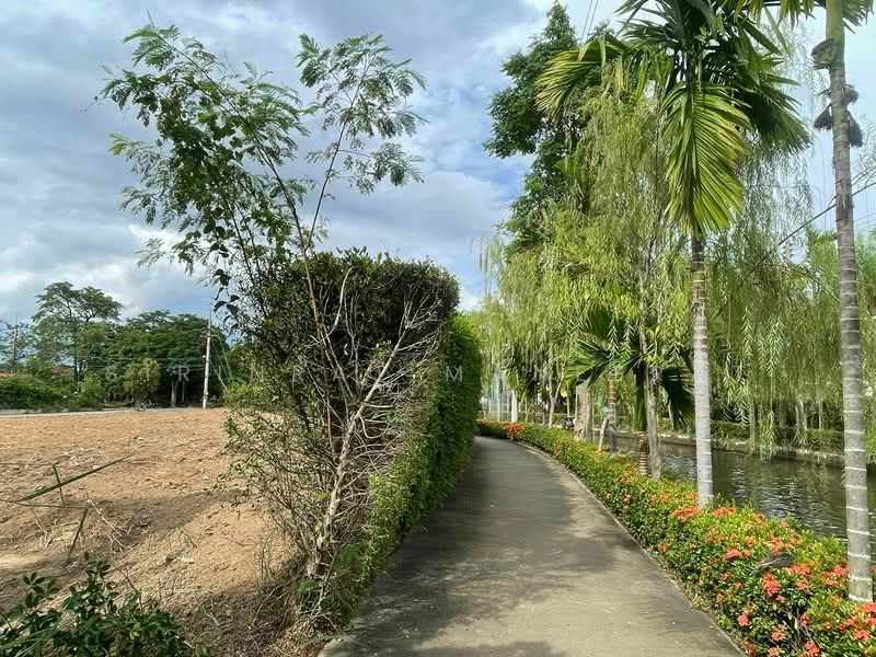 ทดนแปลงสวยทสด ตดถนน 3 ดาน ทำเลทอง ใกลมโชคพลาซา เชยงใหม (ต.สนทราย), เชียงใหม่, สันทรายน้อย, สันทราย, เชียงใหม่, 1,308 ตร.ม., ที่ดิน ขาย, โดย Sirinrat Maneerat, 500461743 - DDproperty.com