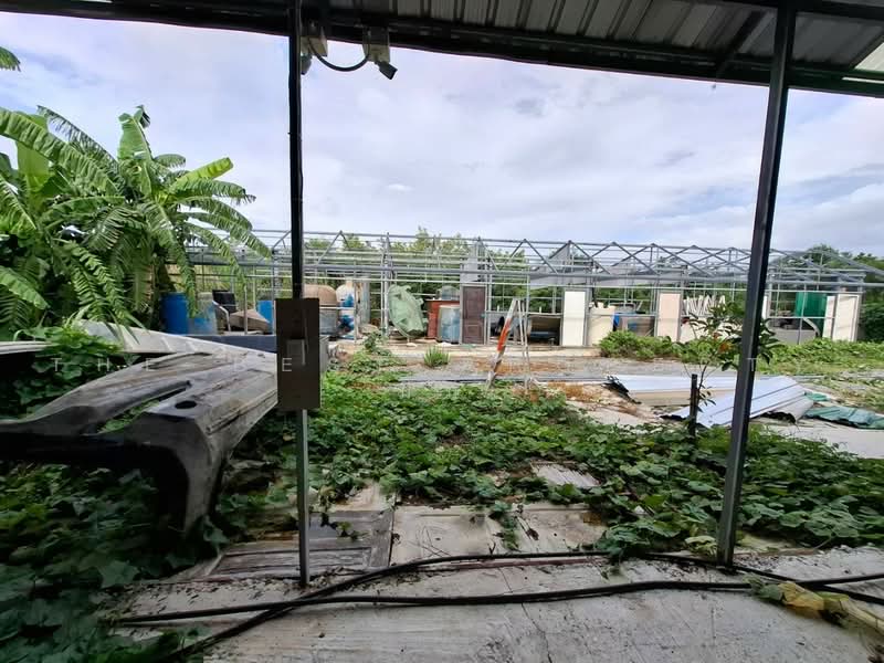 โกดงพรอมทดนไทรนอย นนทบร, Nonthaburi, Rat Niyom, Sai Noi, Nonthaburi, , 100 sqm, Warehouse/Factory For Sale, by The Best Property มีมี่, 500461897 - DDproperty.com