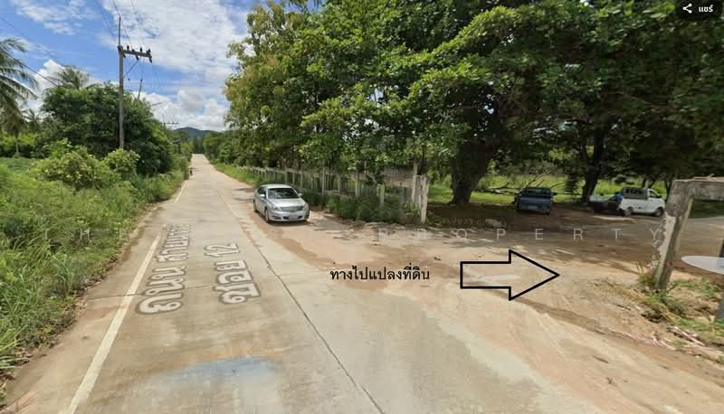 โครงการบานเนนนำ บางละมง, ชลบุรี, ตะเคียนเตี้ย, บางละมุง, ชลบุรี, 384 ตร.ม., ที่ดิน ขาย, โดย The Best Property พี, 500461899 - DDproperty.com