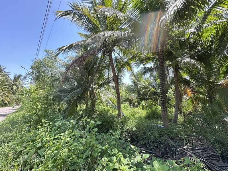 ทดนอมพวา สมทรสงคราม, Samut Songkhram, Bang Chang, Amphawa, Samut Songkhram, , 6,656 sqm, Land For Sale, by The Best Property จี้, 500461906 - DDproperty.com