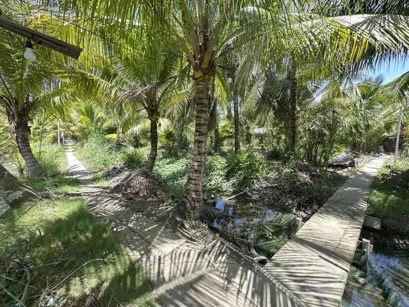 ทดนอมพวา สมทรสงคราม, Samut Songkhram, Bang Chang, Amphawa, Samut Songkhram, , 6,656 sqm, Land For Sale, by The Best Property จี้, 500461906 - DDproperty.com