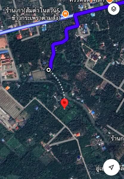 ทดนอมพวา สมทรสงคราม, สมุทรสงคราม, บางช้าง, อัมพวา, สมุทรสงคราม, 6,656 ตร.ม., ที่ดิน ขาย, โดย The Best Property จี้, 500461906 - DDproperty.com