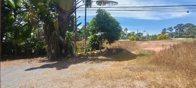 บานเดยวเชยรใหญ นครศรธรรมราช, Nakhon Si Thammarat, Mae Chao Yu Hua, Chian Yai, Nakhon Si Thammarat, 2 Bedrooms, 150 sqm, Single Detached House For Sale, by The Best Property นัท, 500461918 - DDproperty.com