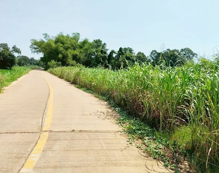 ทดนโกรกพระ นครสวรรค, Nakhon Sawan, Bang Mafo, Krok Phra, Nakhon Sawan, , 9,760 sqm, Land For Sale, by The Best Property ปัต, 500461932 - DDproperty.com