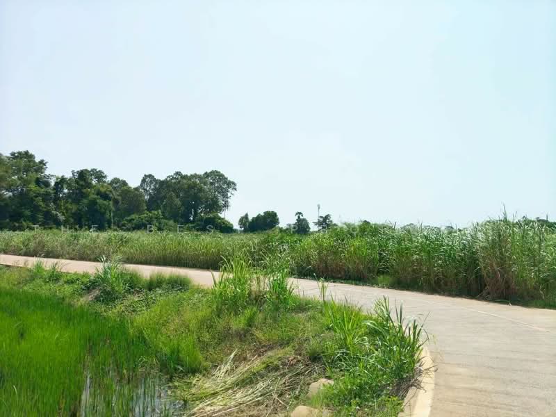 ทดนโกรกพระ นครสวรรค, Nakhon Sawan, Bang Mafo, Krok Phra, Nakhon Sawan, , 9,760 sqm, Land For Sale, by The Best Property ปัต, 500461932 - DDproperty.com