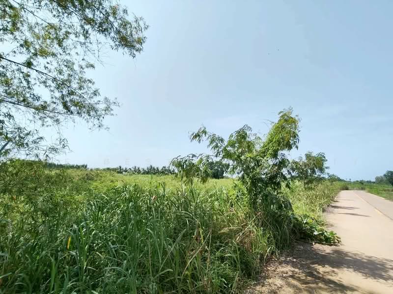 ทดนโกรกพระ นครสวรรค, Nakhon Sawan, Bang Mafo, Krok Phra, Nakhon Sawan, , 9,760 sqm, Land For Sale, by The Best Property ปัต, 500461932 - DDproperty.com