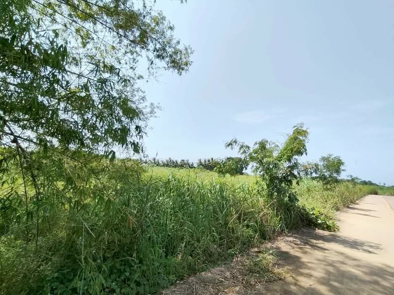ทดนโกรกพระ นครสวรรค, Nakhon Sawan, Bang Mafo, Krok Phra, Nakhon Sawan, , 9,760 sqm, Land For Sale, by The Best Property ปัต, 500461932 - DDproperty.com