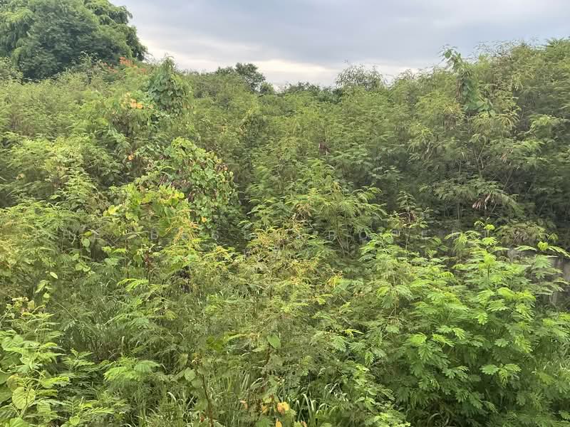 ทดนบานโปง ราชบร, Ratchaburi, Tha Pha, Ban Pong, Ratchaburi, , 1,032 sqm, Land For Sale, by The Best Property หมิว, 500462007 - DDproperty.com