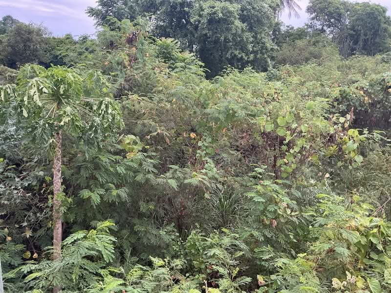 ทดนบานโปง ราชบร, Ratchaburi, Tha Pha, Ban Pong, Ratchaburi, , 1,032 sqm, Land For Sale, by The Best Property หมิว, 500462007 - DDproperty.com