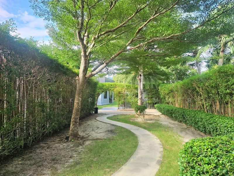 Hua Hin, ประจวบคีรีขันธ์, หินเหล็กไฟ, หัวหิน, ประจวบคีรีขันธ์, 350 ตร.ม., วิลล่า ขาย, โดย Mark Puttkammer, 500462069 - DDproperty.com