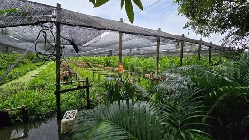 สามพราน-นครชยศร, Nakhon Pathom, สามพราน-นครชัยศรี, Talat Chinda, Sam Phran, Nakhon Pathom, , 6,732 sqm, Land For Sale, by คุณ วันนภา (อีฟ), 500462100 - DDproperty.com