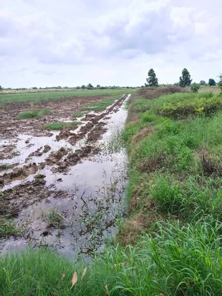ทดนบานโพธ ฉะเชงเทรา, Chachoengsao, Don Sai, Ban Pho, Chachoengsao, , 58,268 sqm, Land For Sale, by The Best Property โบ, 500462106 - DDproperty.com