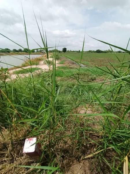 ทดนบานโพธ ฉะเชงเทรา, Chachoengsao, Don Sai, Ban Pho, Chachoengsao, , 58,268 sqm, Land For Sale, by The Best Property โบ, 500462106 - DDproperty.com