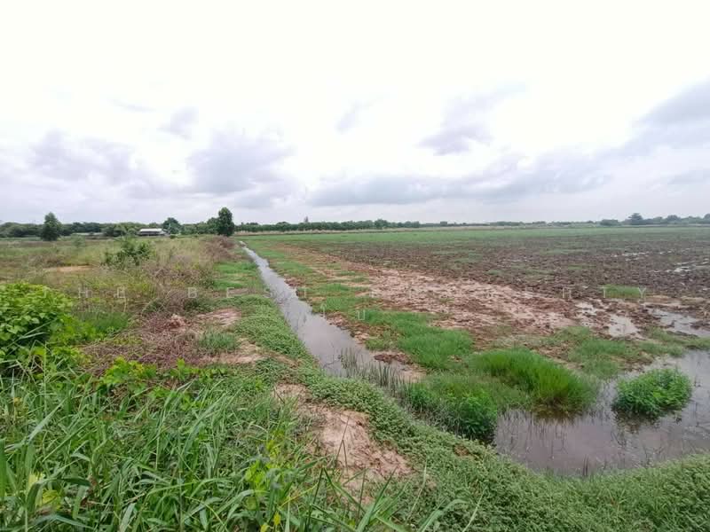 ทดนบานโพธ ฉะเชงเทรา, Chachoengsao, Don Sai, Ban Pho, Chachoengsao, , 58,268 sqm, Land For Sale, by The Best Property โบ, 500462106 - DDproperty.com